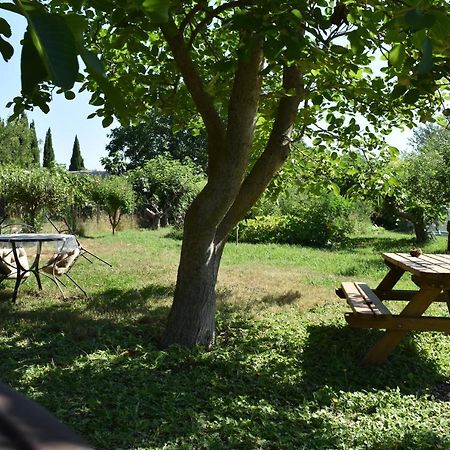 Mobil-Home Sur Terrain Bucolique Hyeres Exterior photo